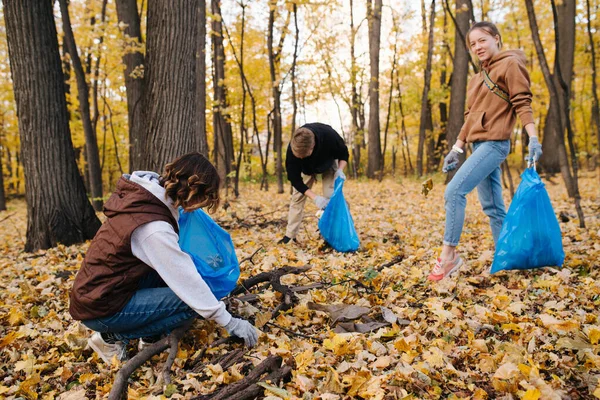 Sonbaharda mevsimlik bir ormanda çöp toplayan bir grup gönüllü. — Stok fotoğraf