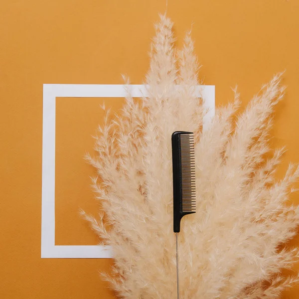 Pente de rabo de rato de cabeleireiro colocado sobre buquê de cereais seco fofo. Vista superior — Fotografia de Stock