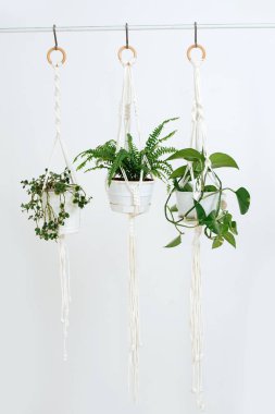 Bir süre önce duvarın önünde makrome tencere tutacağı teslim eden üç saksı planı.