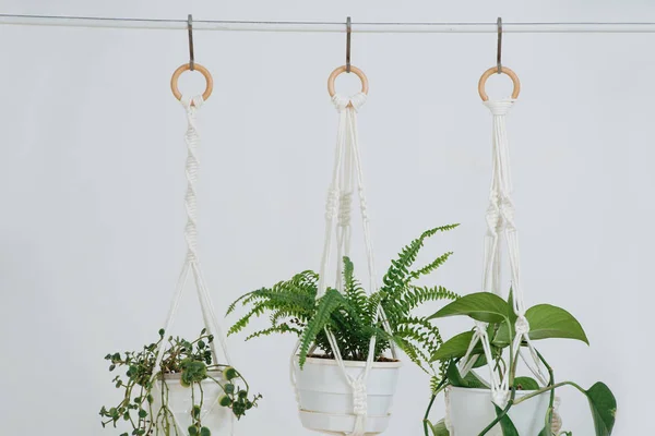 Close-up van touw opknoping potted plannen in de voorkant van een tijdje muur — Stockfoto