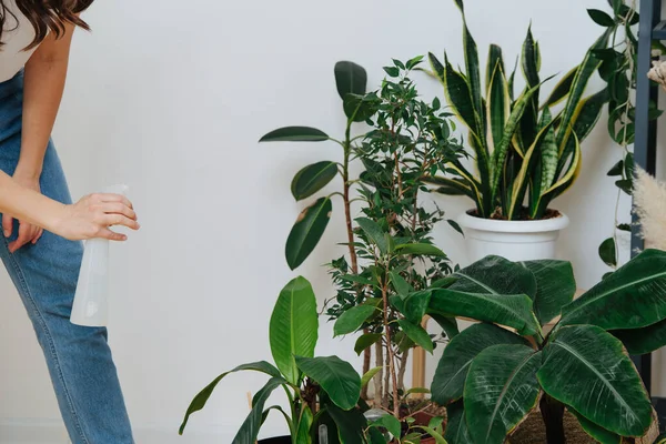 Vrouw water geven potplanten in haar huis kas — Stockfoto