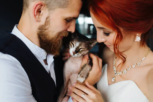 Couple nouvellement marié debout étroitement ensemble câlins leur chat sphynx sans poils — Photo