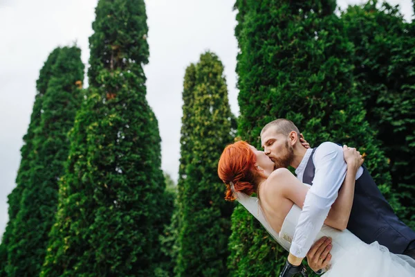 Recién casada pareja besándose en medio de un alto bosque de enebro en el parque —  Fotos de Stock