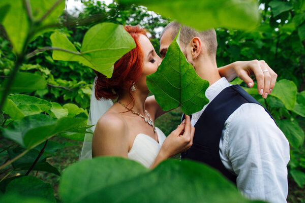 Happy, romantic newly wed couple kissing lips, snogging together in the midst of tall bushes in the park on a summer cloudy day. Shot taken through branch with wide green leaves.