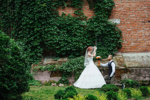 Novomanželé pózují před cihlovou zarostlou zdí starého domu — Stock fotografie