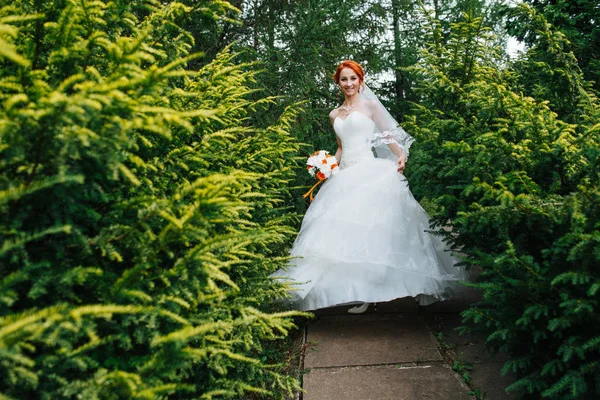 Donna felice in abito da sposa a piedi attraverso ginepri in un parco — Foto Stock