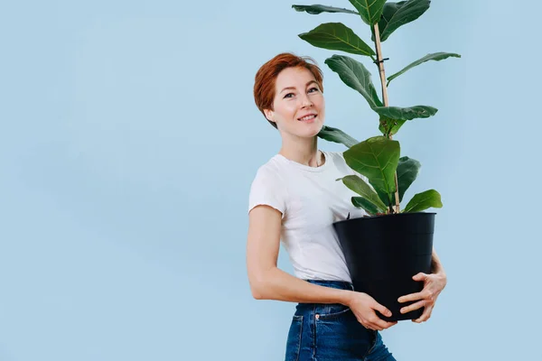 Portrait of a happy woman with short ginger hair holding giant ficus — Stock Photo, Image