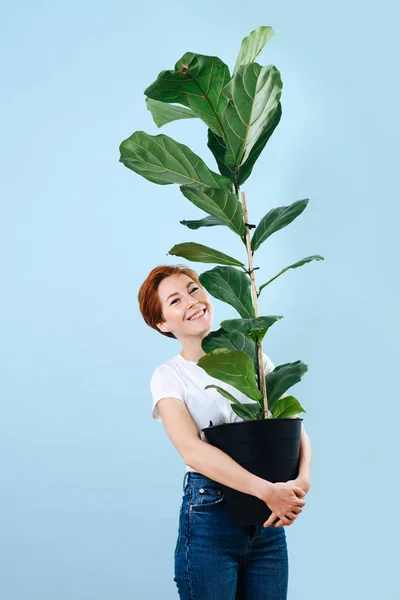 Portret van een vrolijke vrouw met kort roodharig haar met gigantische ficus — Stockfoto