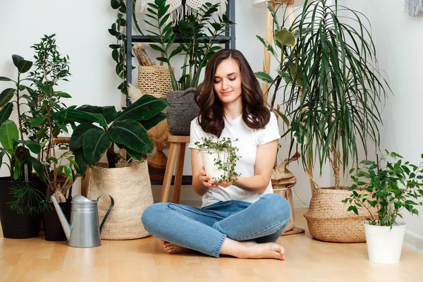 Prendersi Cura Delle Piante Domestiche Bella Ragazza Abiti Casual Seduta — Foto Stock