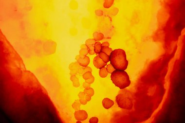 Ateşli bir parıltıya sahip soyut resim, kırmızı kan hücrelerine benzer parçacıklar