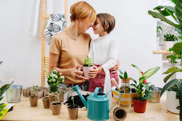 可爱的母亲和女儿幸福地站在一起 触摸着额头 拿着盆栽在一起 旁边的桌子上放着植物 — 图库照片