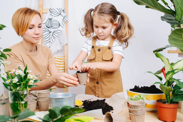 穿着米色工作服的小女孩和她的母亲一起在一张木制桌子上重新种植幼苗 她正在小心地把肥沃的泥土装满纸罐 — 图库照片