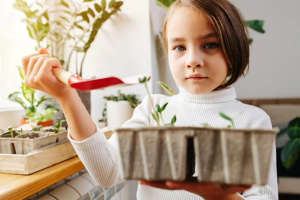 Küçük Bir Kız Elinde Fidelerle Karton Bir Kutuda Poz Veriyor — Stok fotoğraf