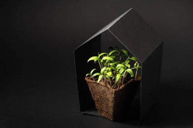 Ev şeklindeki siyah çatının altındaki çamurun içinde bir fabrikanın kapanması.