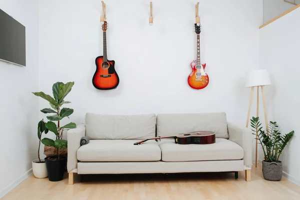 Area in the living room reserved for recreation. Sofa, guitars and TV. Potted plants by each side. All aranged for personal comfort.