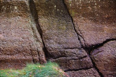Kırık rock ve bir köşede yeşil çimen ıslak