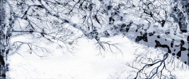 Benekli kış ağaçlar