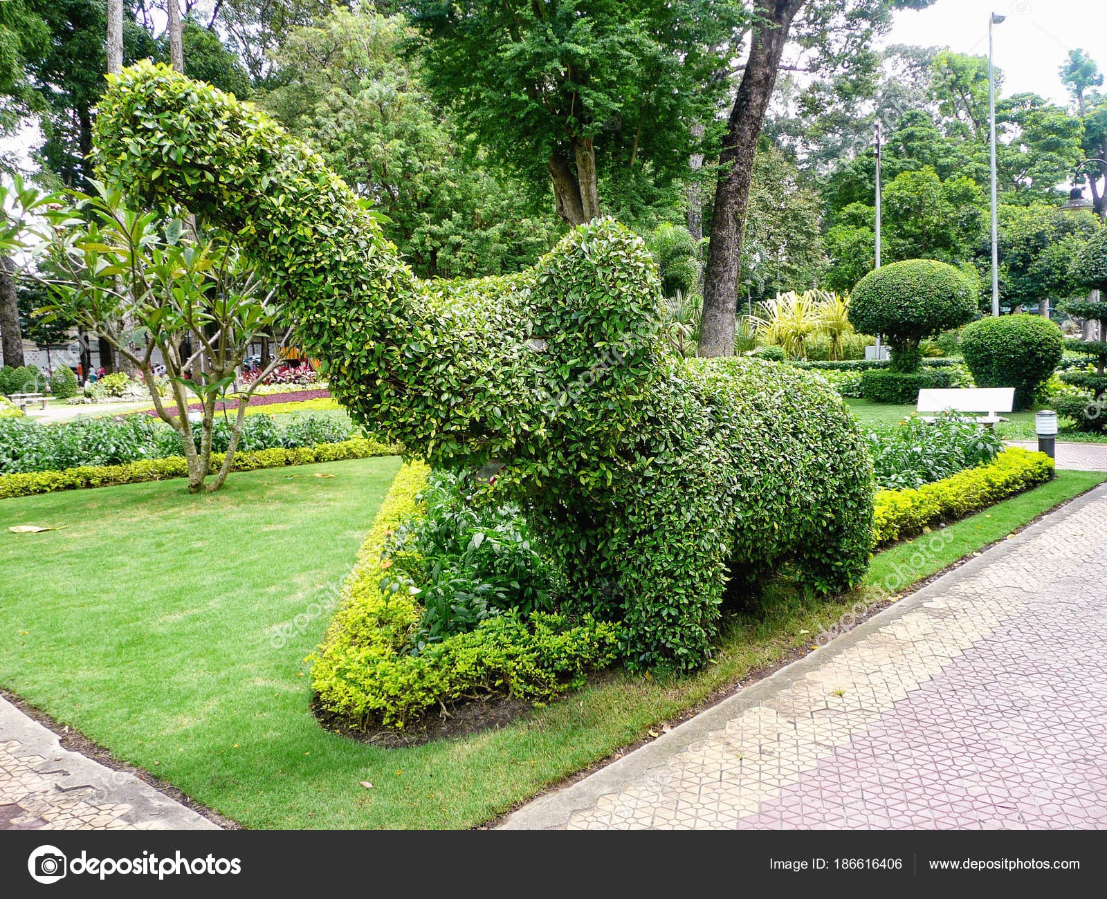 Elefant in einem botanischen Garten — Stockfoto