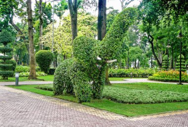 Bir Botanik Bahçe çim fil