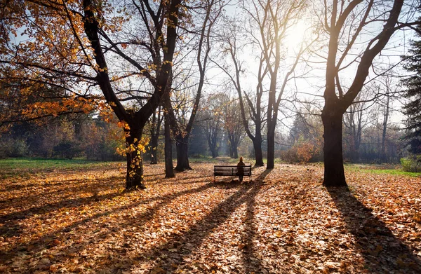 Mulher no parque de outono — Fotografia de Stock