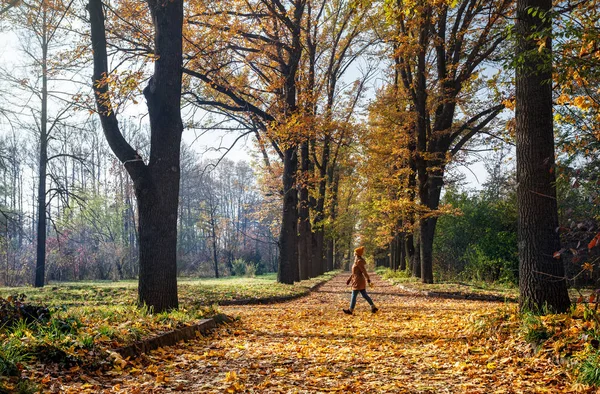 Жінка в осінньому парку — стокове фото