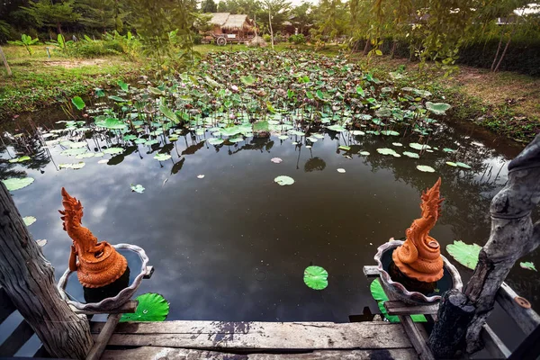 漂亮的池塘与莲花在泰国 — 图库照片