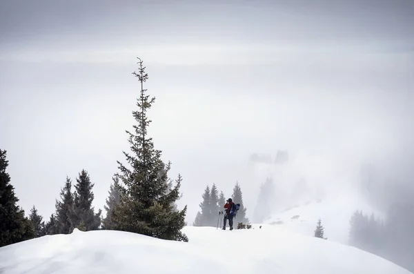 雪山での写真家 — ストック写真