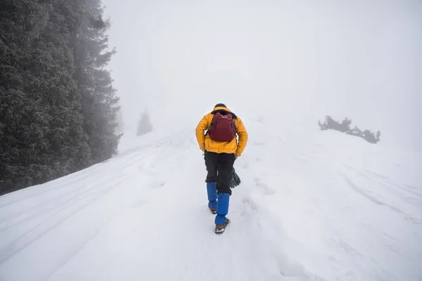 Turista nas montanhas nevadas — Fotografia de Stock