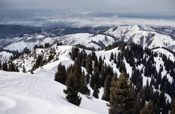 美しい冬の山景色 — ストック写真
