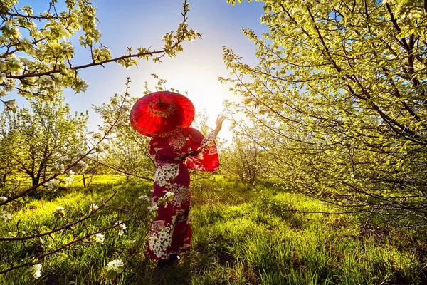 Kvinna i Japan kostym på körsbärsblom — Stockfoto