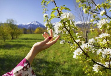 Kadın el ve çiçeği ağaç bahar
