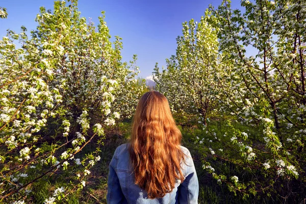 Frau im Kirschblütengarten — Stockfoto