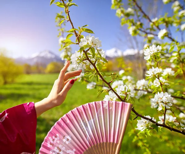 Hände der asiatischen Frau und Blütenbaum — Stockfoto