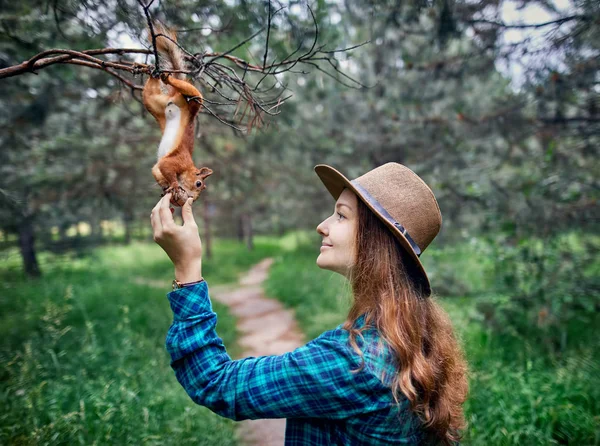 美丽的女人喂松鼠在森林里 — 图库照片