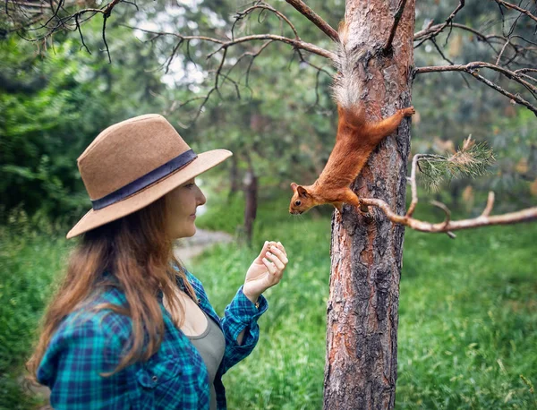 Schöne Frau füttert Eichhörnchen im Wald — Stockfoto