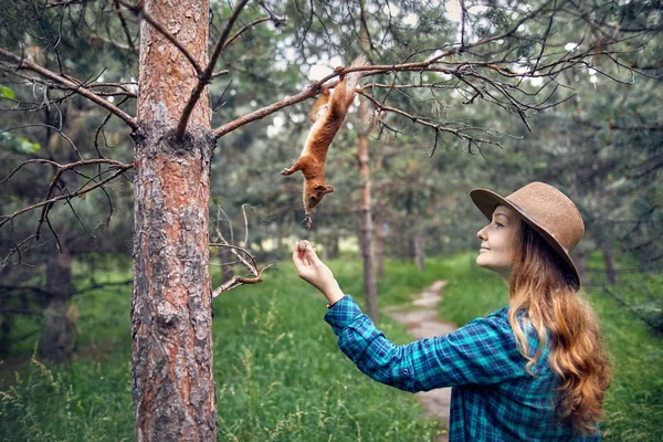 Schöne Frau füttert Eichhörnchen im Wald — Stockfoto