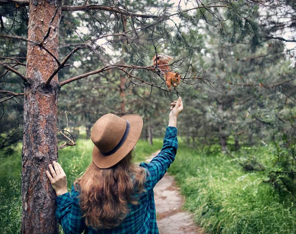 Vacker kvinna utfodring ekorren i skogen — Stockfoto