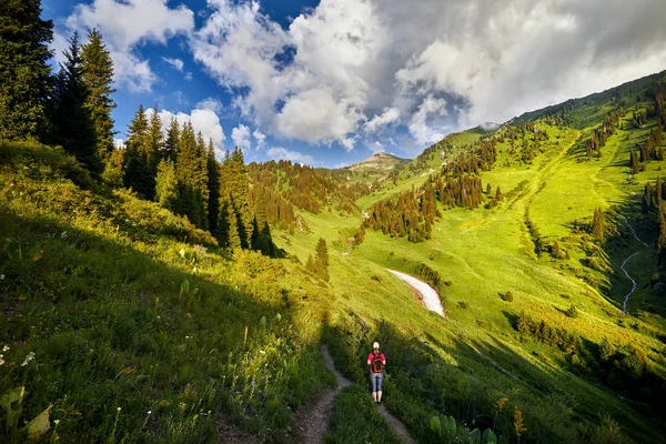 Donna turistica in montagna — Foto Stock