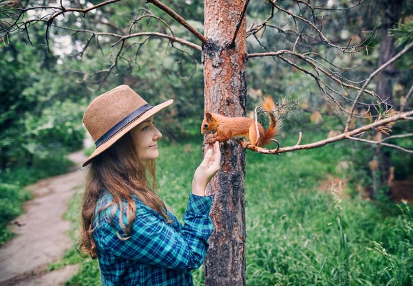 森のリスの餌の帽子の女性 — ストック写真
