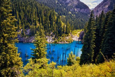 Dağ gölünün güzel manzarası
