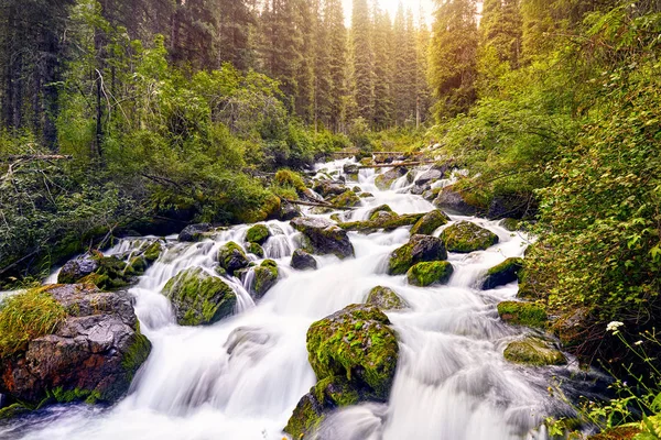 Vackert landskap av berg flod — Stockfoto