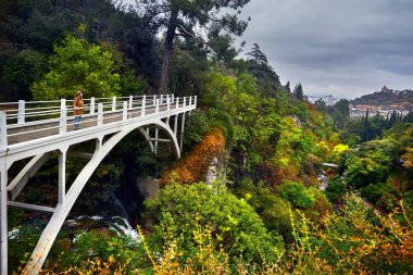 Botanik Bahçesi Tiflis turist