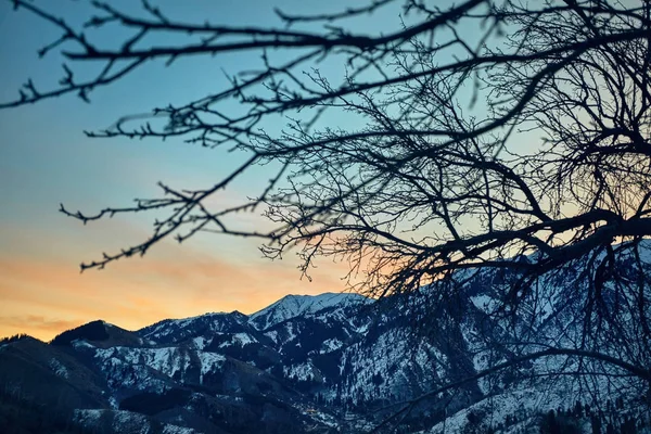 Nascer do sol em montanhas nevadas — Fotografia de Stock