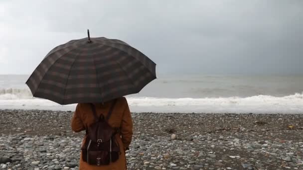 Frau mit Regenschirm nahe stürmischer See