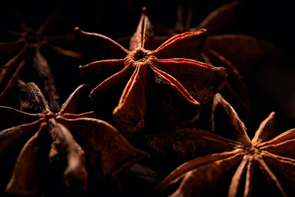 Badyan star anise spice close up — Stock Photo, Image