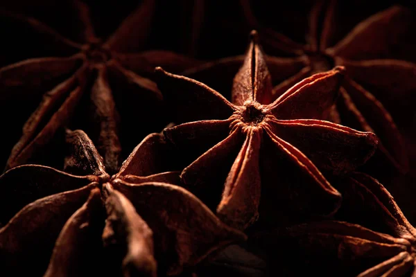 Badyan star anise spice close up — Stock Photo, Image