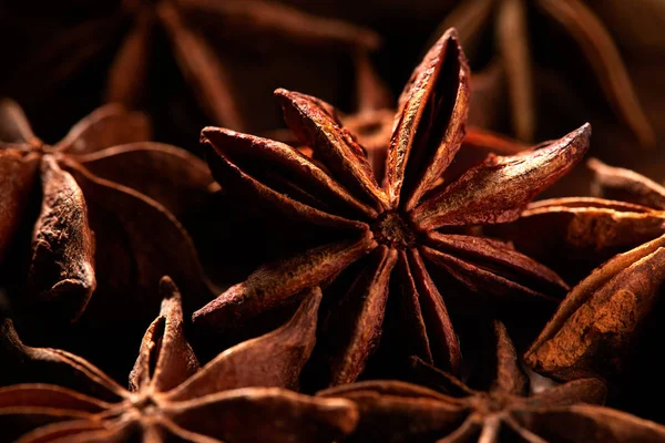 Badyan star anise spice close up — Stock Photo, Image