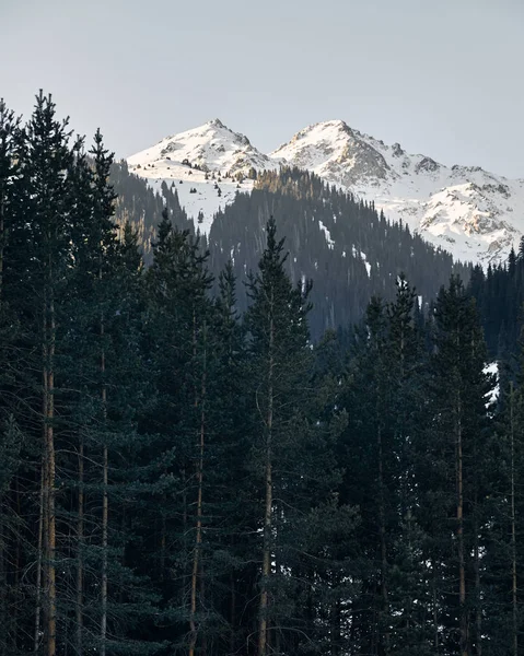 Landskap av snöiga berg — Stockfoto