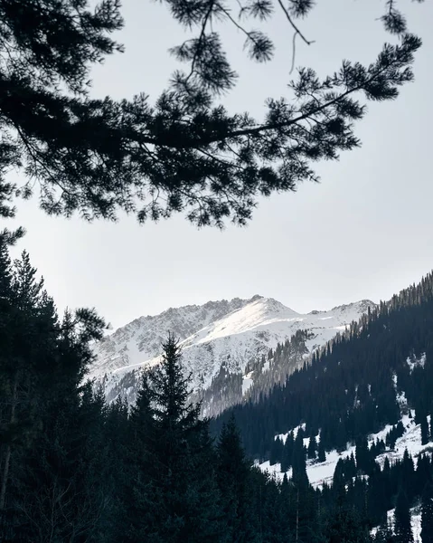 Paisaje de montañas nevadas —  Fotos de Stock