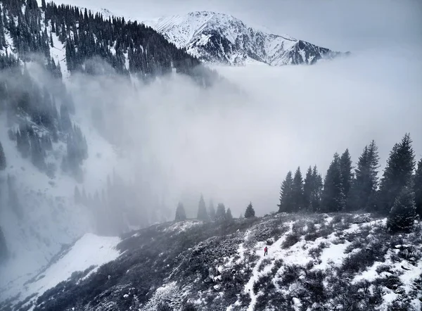 Senderista en el paisaje de montaña de invierno —  Fotos de Stock